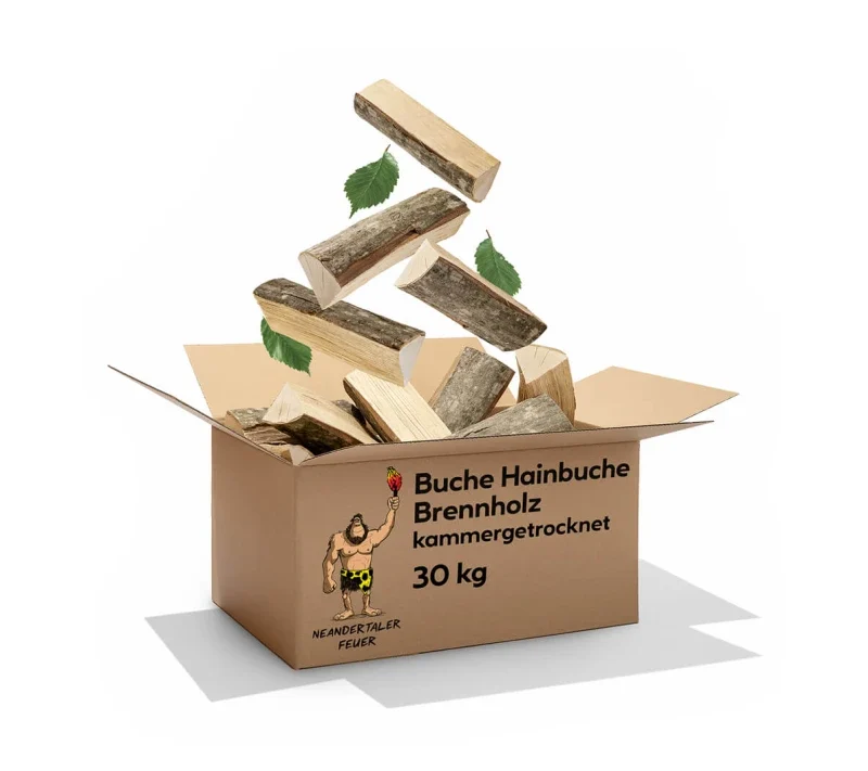 Leña de haya / carpe 300 kg